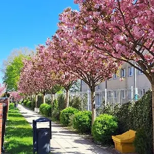 https://al-dom-apartamenty-winiowy-ogrd-z-garaem.kolobrzeghotels.com